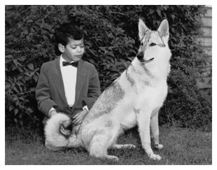 photo of Paul, age 5, with his dog, Dutchess